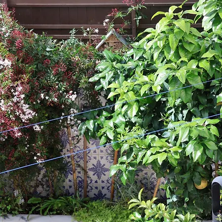 Homestay Bba Ferrel - Centre-ville *