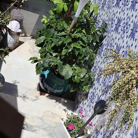 Bba1 Climatise Centre-ville * Ferrel (Leiria)