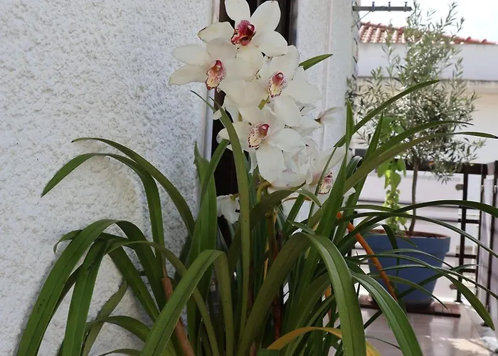 Bba1 Climatise Centre-ville 아파트 *