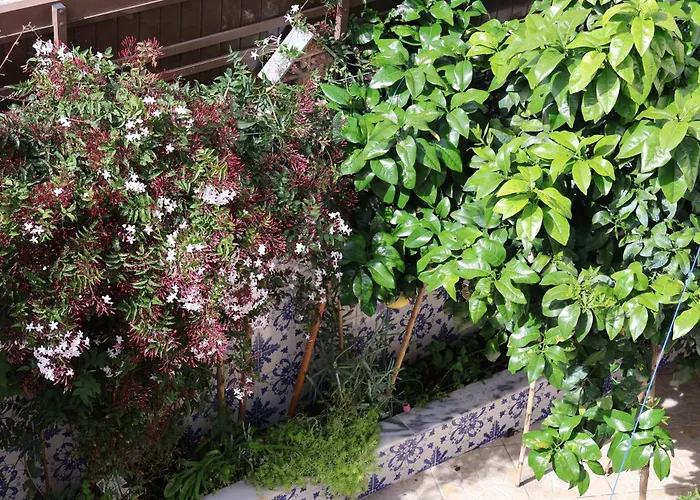 Bba1 Climatise Centre-ville