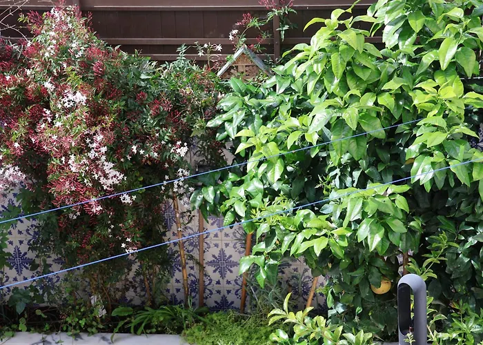 아파트 Bba1 Climatise Centre-ville *