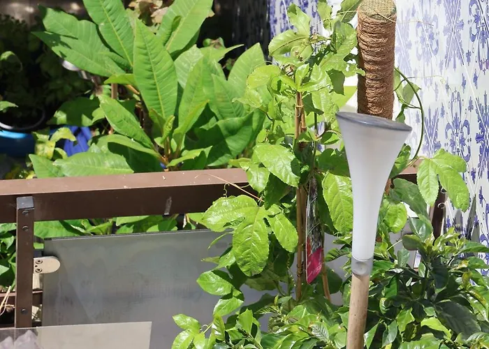 Bba1 Climatise Centre-ville * 페렐