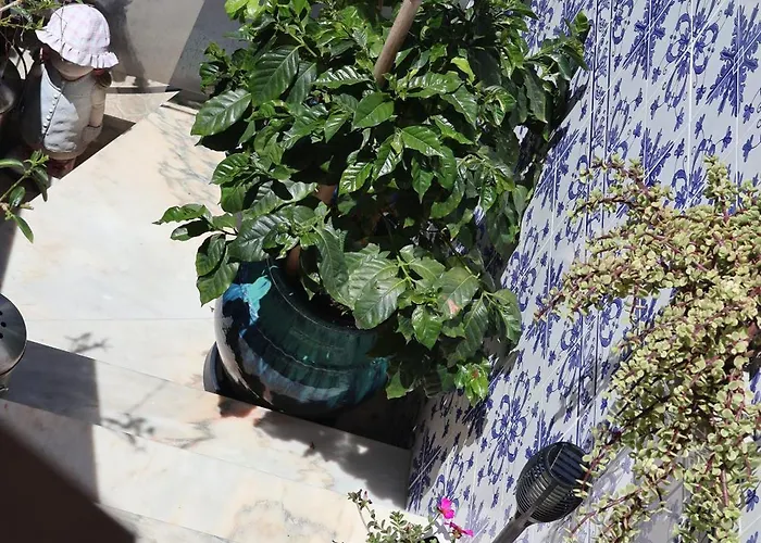 Bba1 Climatise Centre-ville * 페렐